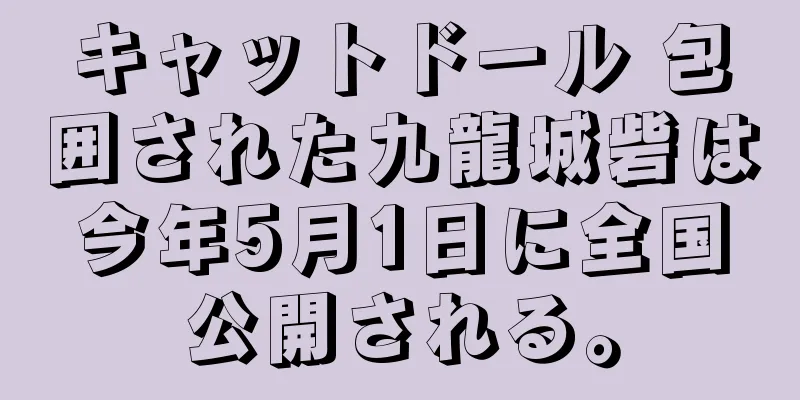 キャットドール 包囲された九龍城砦は今年5月1日に全国公開される。