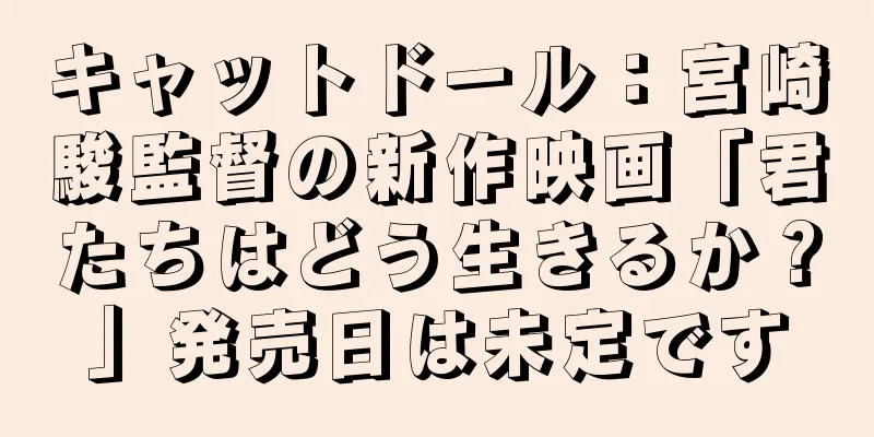 キャットドール：宮崎駿監督の新作映画「君たちはどう生きるか？」発売日は未定です