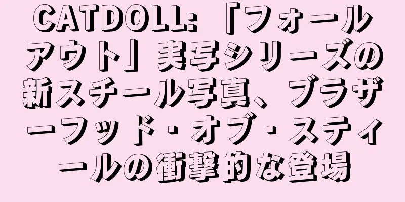 CATDOLL: 「フォールアウト」実写シリーズの新スチール写真、ブラザーフッド・オブ・スティールの衝撃的な登場