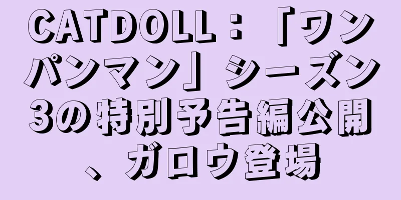 CATDOLL：「ワンパンマン」シーズン3の特別予告編公開、ガロウ登場