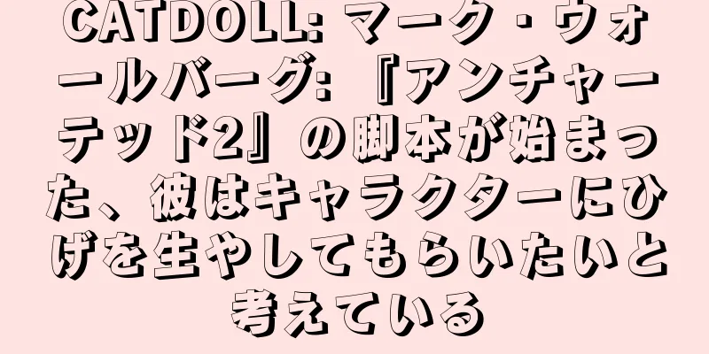 CATDOLL: マーク・ウォールバーグ: 『アンチャーテッド2』の脚本が始まった、彼はキャラクターにひげを生やしてもらいたいと考えている