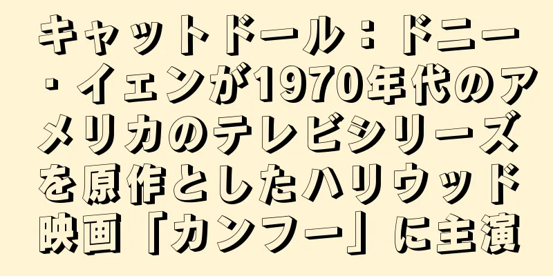 キャットドール：ドニー・イェンが1970年代のアメリカのテレビシリーズを原作としたハリウッド映画「カンフー」に主演