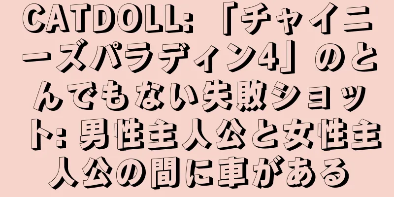 CATDOLL: 「チャイニーズパラディン4」のとんでもない失敗ショット: 男性主人公と女性主人公の間に車がある