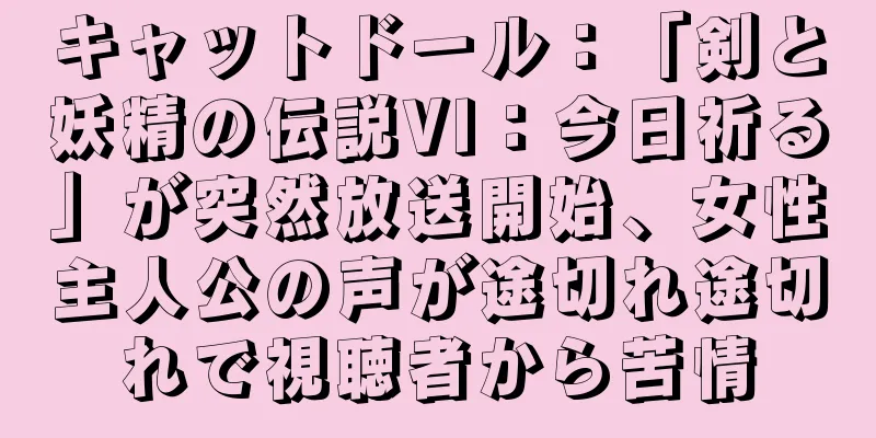 キャットドール：「剣と妖精の伝説VI：今日祈る」が突然放送開始、女性主人公の声が途切れ途切れで視聴者から苦情