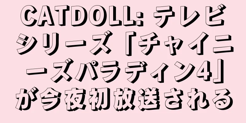 CATDOLL: テレビシリーズ「チャイニーズパラディン4」が今夜初放送される