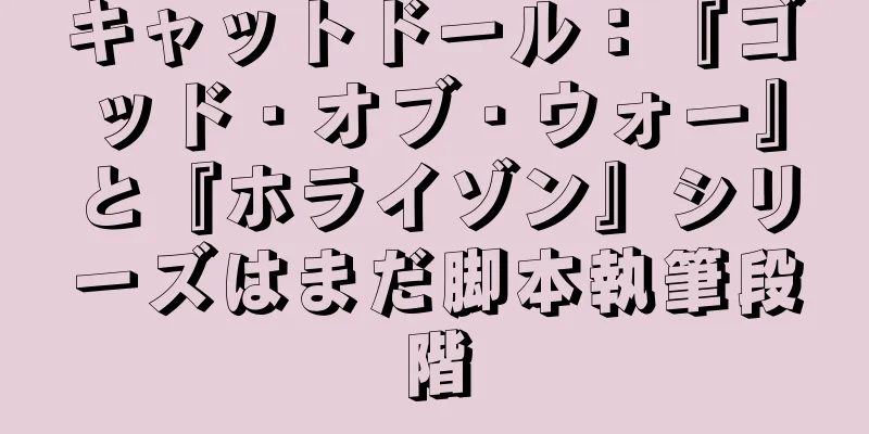 キャットドール：『ゴッド・オブ・ウォー』と『ホライゾン』シリーズはまだ脚本執筆段階