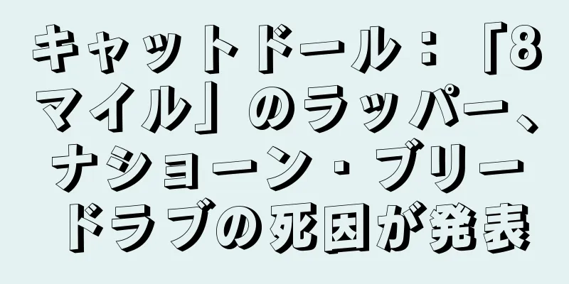 キャットドール：「8マイル」のラッパー、ナショーン・ブリードラブの死因が発表