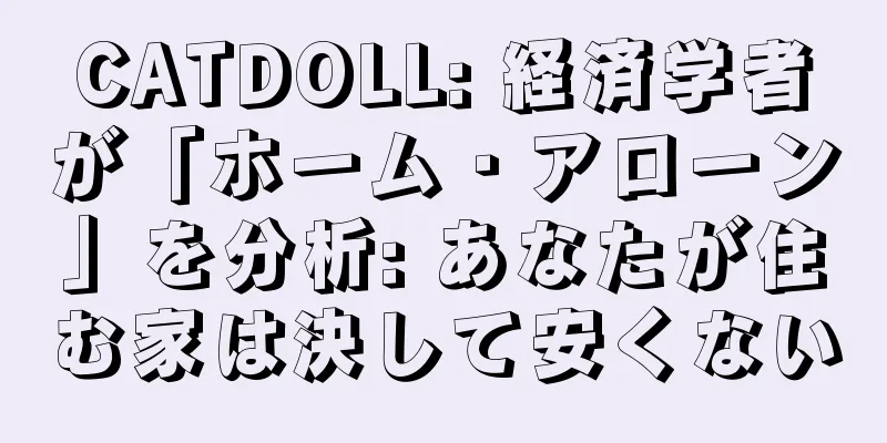 CATDOLL: 経済学者が「ホーム・アローン」を分析: あなたが住む家は決して安くない