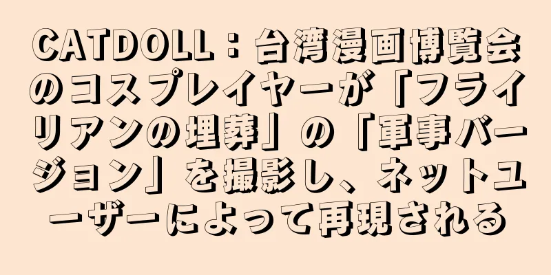 CATDOLL：台湾漫画博覧会のコスプレイヤーが「フライリアンの埋葬」の「軍事バージョン」を撮影し、ネットユーザーによって再現される