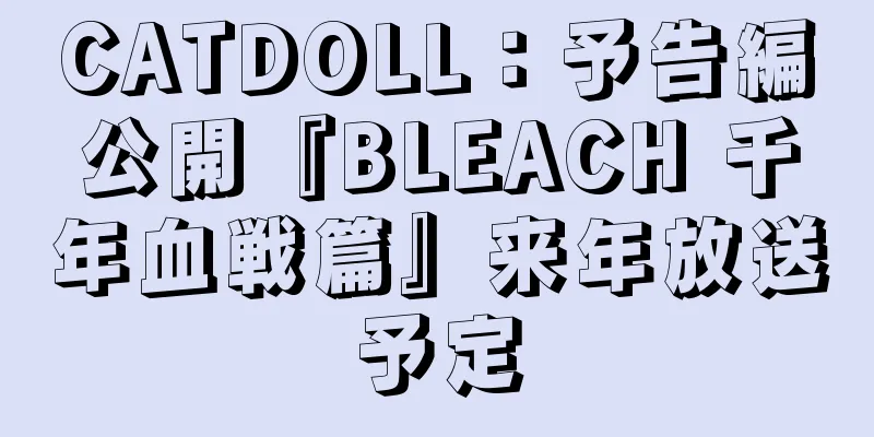 CATDOLL：予告編公開『BLEACH 千年血戦篇』来年放送予定