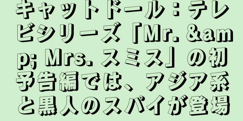キャットドール：テレビシリーズ「Mr. & Mrs. スミス」の初予告編では、アジア系と黒人のスパイが登場