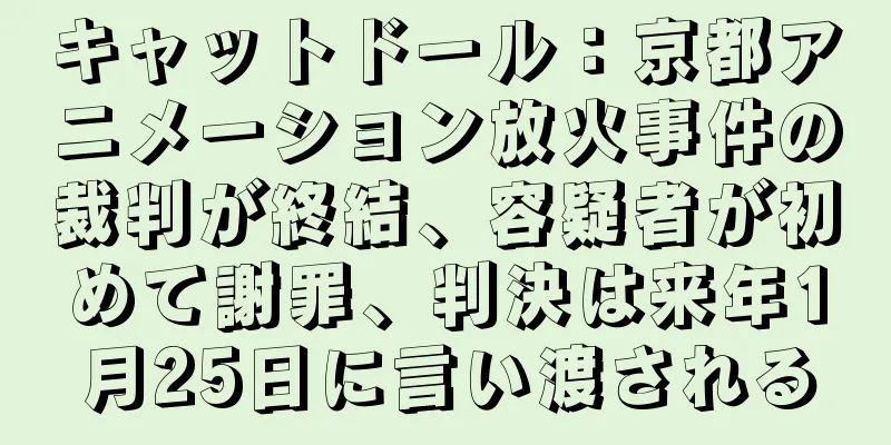 キャットドール：京都アニメーション放火事件の裁判が終結、容疑者が初めて謝罪、判決は来年1月25日に言い渡される