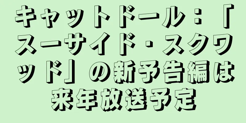 キャットドール：「スーサイド・スクワッド」の新予告編は来年放送予定