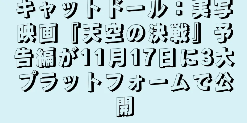 キャットドール：実写映画『天空の決戦』予告編が11月17日に3大プラットフォームで公開