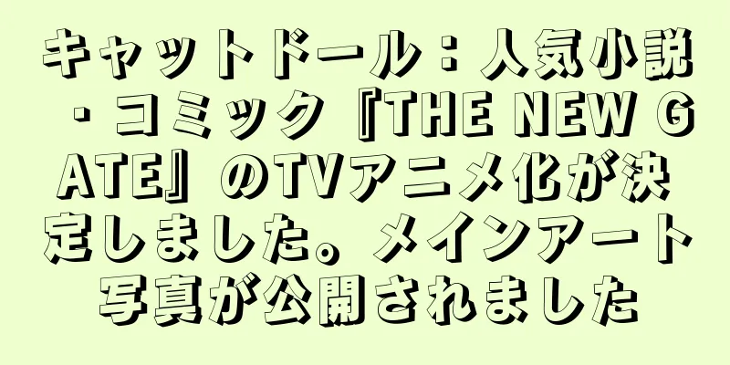 キャットドール：人気小説・コミック『THE NEW GATE』のTVアニメ化が決定しました。メインアート写真が公開されました