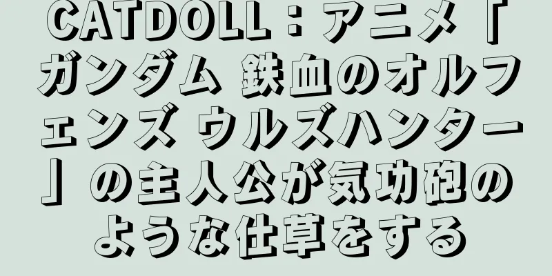 CATDOLL：アニメ「ガンダム 鉄血のオルフェンズ ウルズハンター」の主人公が気功砲のような仕草をする