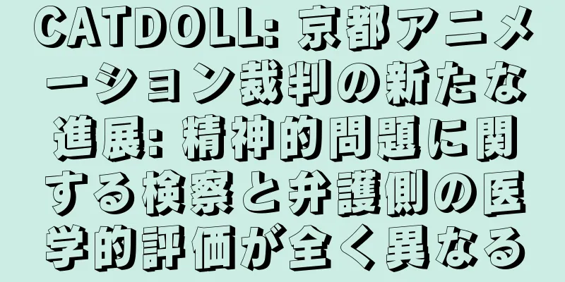 CATDOLL: 京都アニメーション裁判の新たな進展: 精神的問題に関する検察と弁護側の医学的評価が全く異なる