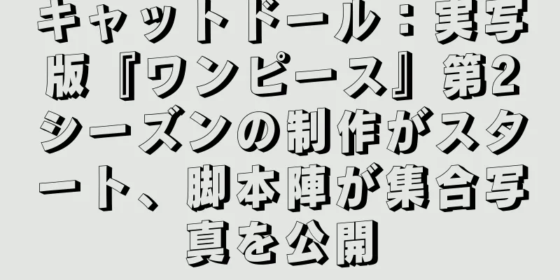 キャットドール：実写版『ワンピース』第2シーズンの制作がスタート、脚本陣が集合写真を公開