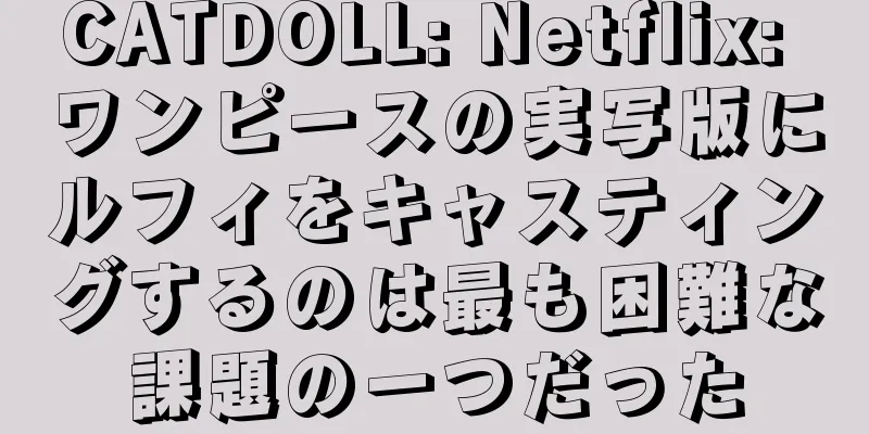 CATDOLL: Netflix: ワンピースの実写版にルフィをキャスティングするのは最も困難な課題の一つだった