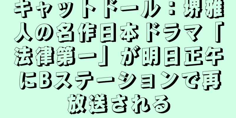 キャットドール：堺雅人の名作日本ドラマ「法律第一」が明日正午にBステーションで再放送される