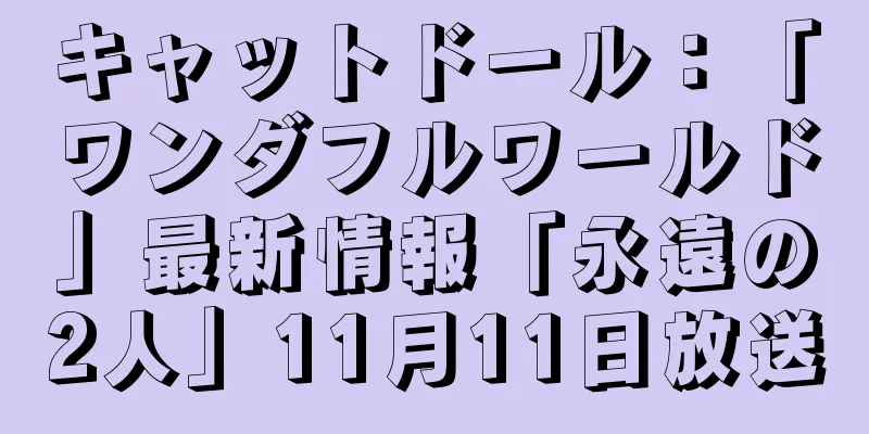 キャットドール：「ワンダフルワールド」最新情報「永遠の2人」11月11日放送