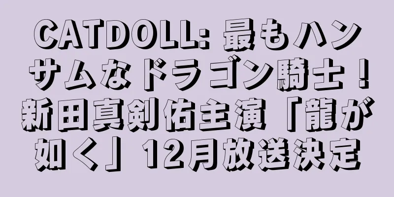 CATDOLL: 最もハンサムなドラゴン騎士！新田真剣佑主演「龍が如く」12月放送決定