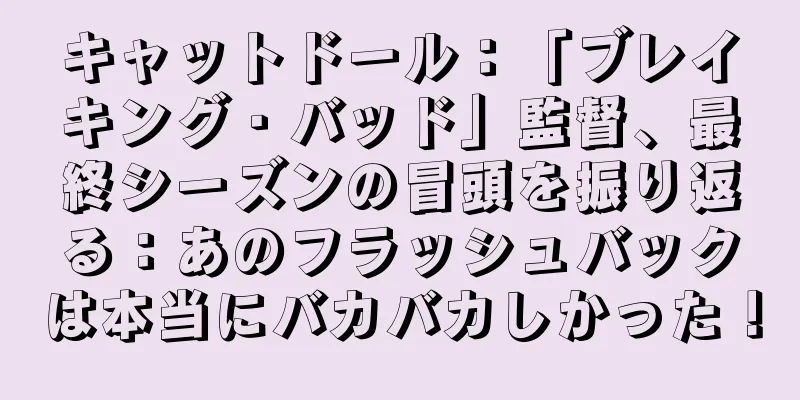 キャットドール：「ブレイキング・バッド」監督、最終シーズンの冒頭を振り返る：あのフラッシュバックは本当にバカバカしかった！