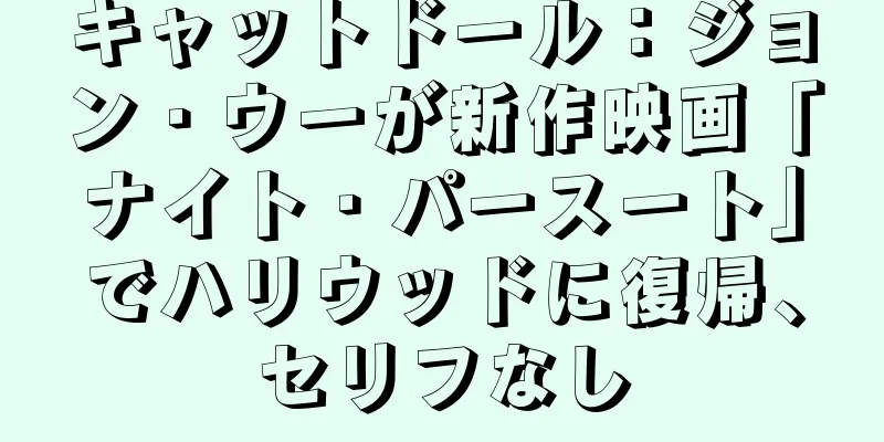 キャットドール：ジョン・ウーが新作映画「ナイト・パースート」でハリウッドに復帰、セリフなし
