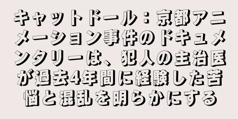 キャットドール：京都アニメーション事件のドキュメンタリーは、犯人の主治医が過去4年間に経験した苦悩と混乱を明らかにする