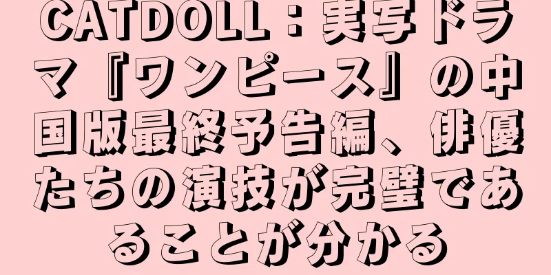 CATDOLL：実写ドラマ『ワンピース』の中国版最終予告編、俳優たちの演技が完璧であることが分かる