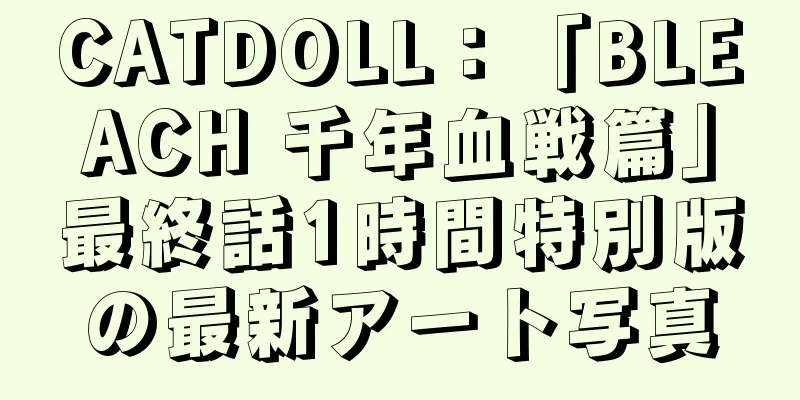 CATDOLL：「BLEACH 千年血戦篇」最終話1時間特別版の最新アート写真