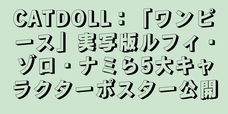 CATDOLL：「ワンピース」実写版ルフィ・ゾロ・ナミら5大キャラクターポスター公開