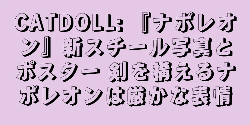 CATDOLL: 『ナポレオン』新スチール写真とポスター 剣を構えるナポレオンは厳かな表情