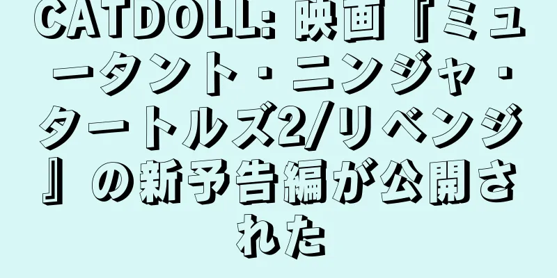 CATDOLL: 映画『ミュータント・ニンジャ・タートルズ2/リベンジ』の新予告編が公開された