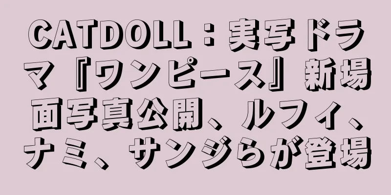 CATDOLL：実写ドラマ『ワンピース』新場面写真公開、ルフィ、ナミ、サンジらが登場