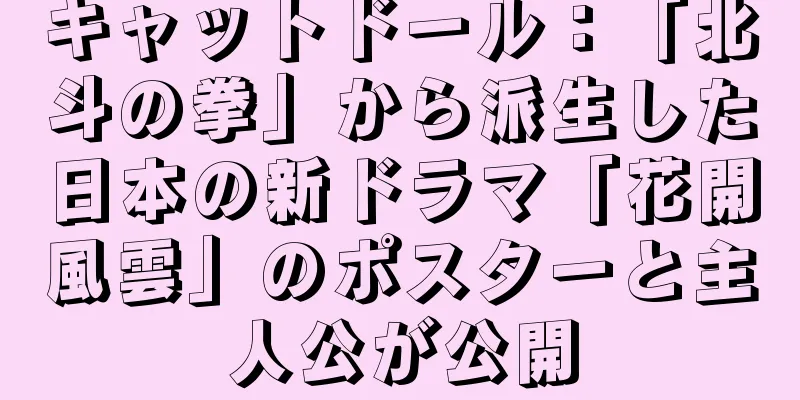 キャットドール：「北斗の拳」から派生した日本の新ドラマ「花開風雲」のポスターと主人公が公開