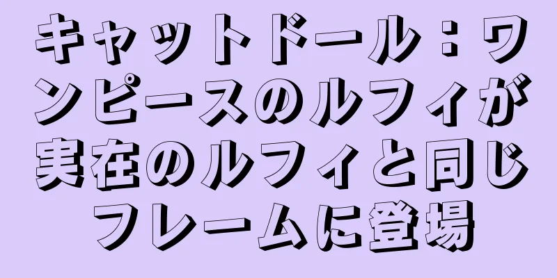 キャットドール：ワンピースのルフィが実在のルフィと同じフレームに登場