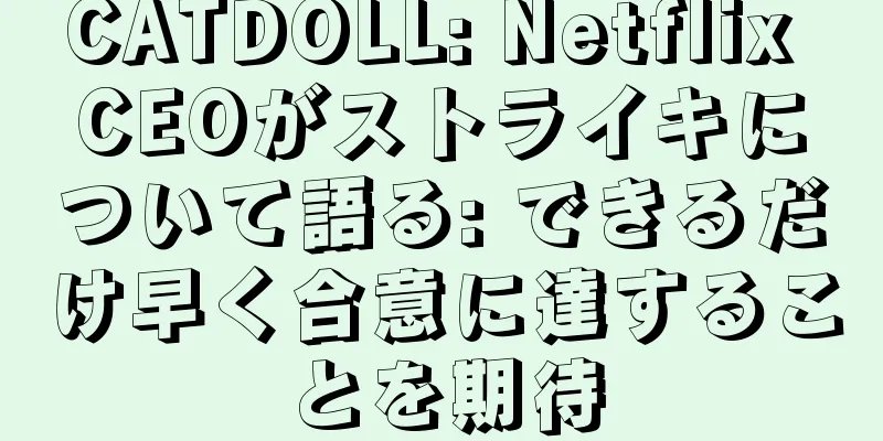 CATDOLL: Netflix CEOがストライキについて語る: できるだけ早く合意に達することを期待