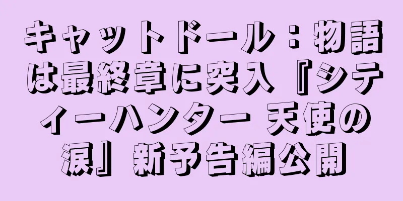 キャットドール：物語は最終章に突入『シティーハンター 天使の涙』新予告編公開