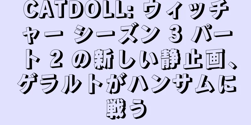 CATDOLL: ウィッチャー シーズン 3 パート 2 の新しい静止画、ゲラルトがハンサムに戦う