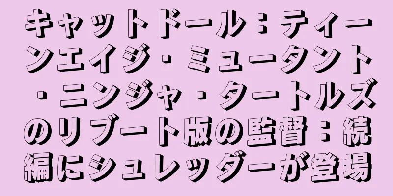 キャットドール：ティーンエイジ・ミュータント・ニンジャ・タートルズのリブート版の監督：続編にシュレッダーが登場