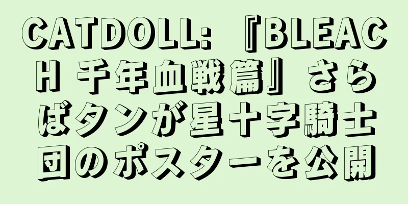 CATDOLL: 『BLEACH 千年血戦篇』さらばタンが星十字騎士団のポスターを公開