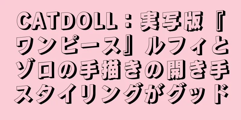 CATDOLL：実写版『ワンピース』ルフィとゾロの手描きの開き手スタイリングがグッド