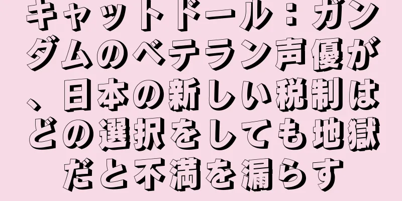 キャットドール：ガンダムのベテラン声優が、日本の新しい税制はどの選択をしても地獄だと不満を漏らす