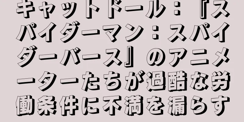 キャットドール：『スパイダーマン：スパイダーバース』のアニメーターたちが過酷な労働条件に不満を漏らす
