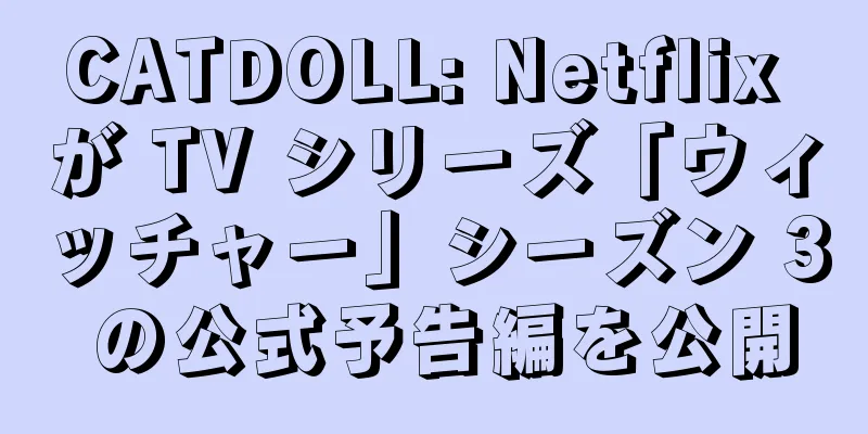 CATDOLL: Netflix が TV シリーズ「ウィッチャー」シーズン 3 の公式予告編を公開