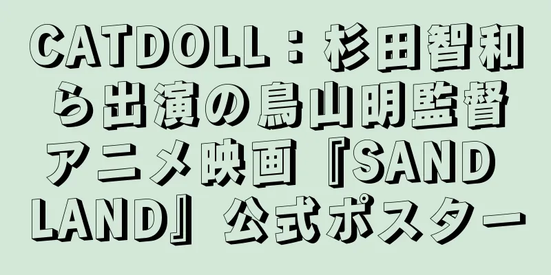 CATDOLL：杉田智和ら出演の鳥山明監督アニメ映画『SAND LAND』公式ポスター
