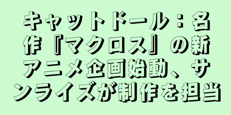 キャットドール：名作『マクロス』の新アニメ企画始動、サンライズが制作を担当