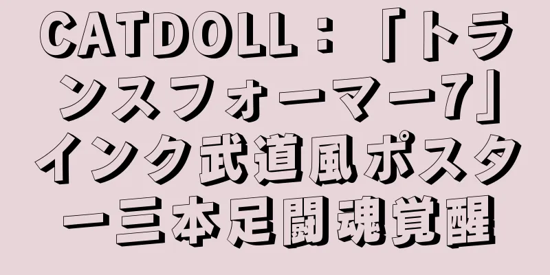 CATDOLL：「トランスフォーマー7」インク武道風ポスター三本足闘魂覚醒