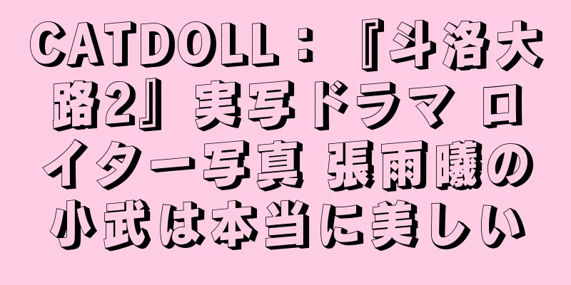 CATDOLL：『斗洛大路2』実写ドラマ ロイター写真 張雨曦の小武は本当に美しい